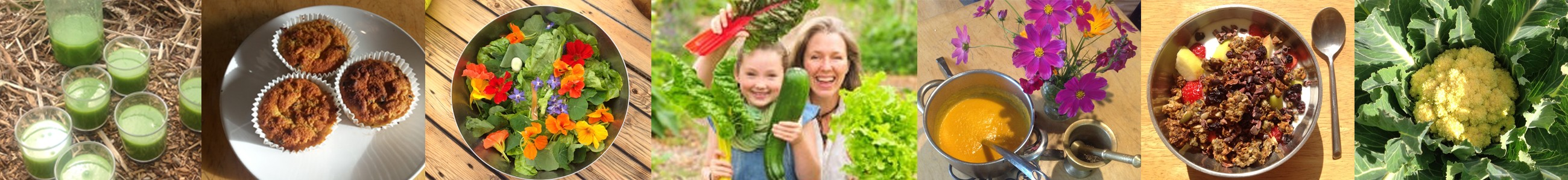 paleo diet